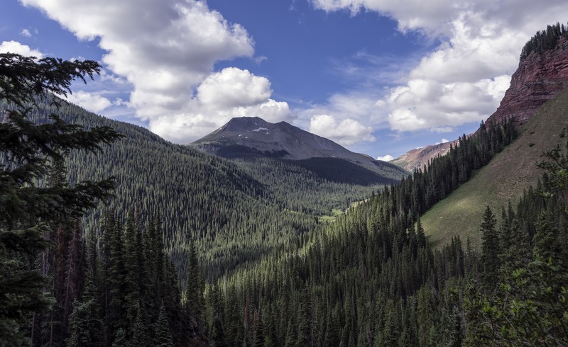 valley, forest, landscape, nature, hd, 4k
