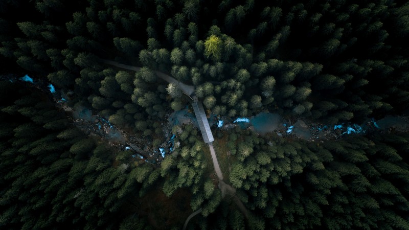 aerial, forest, nature, photography, hd, 4k, behance