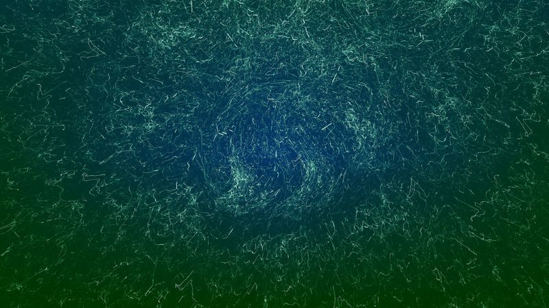 fractal, lines, tangled, abstraction, 4k