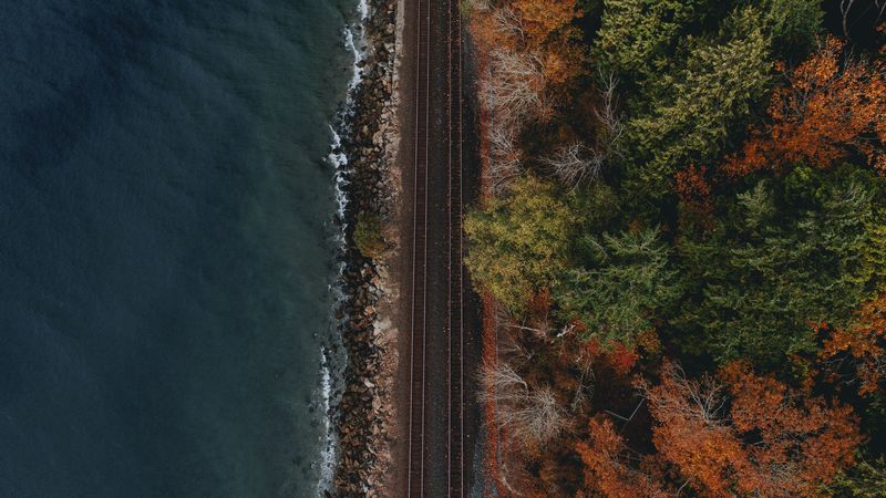 railway, coast, aerial view, water, forest, 4k