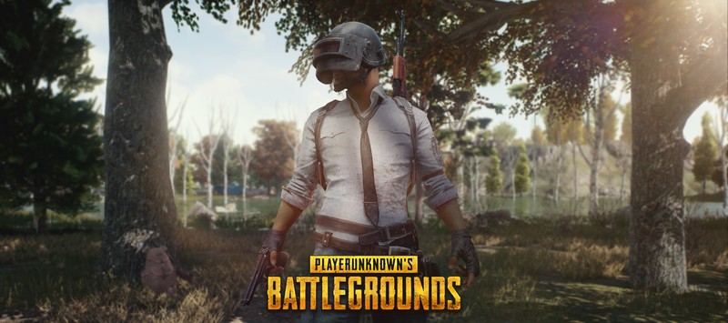 pubg, playerunknowns battlegrounds, 2018 games, games, hd, helmet