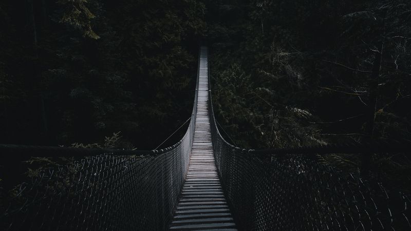 cable bridge, bridge, forest, trees, dark, 4k