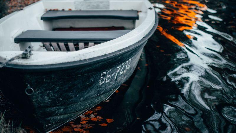 boat, water, foliage, shore, waves, 4k