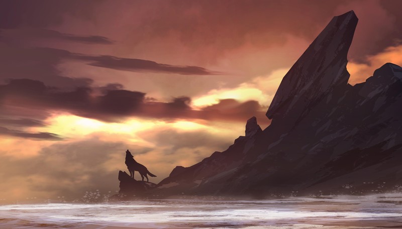 wolf, artist, artwork, digital art, hd, island, deviantart