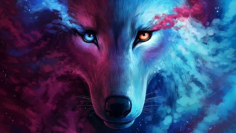 wolf, galaxy, artist, artwork, digital art, hd, photoshop