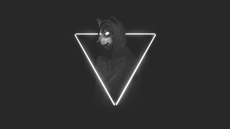 hoodie, photography, hd, wolf, 4k