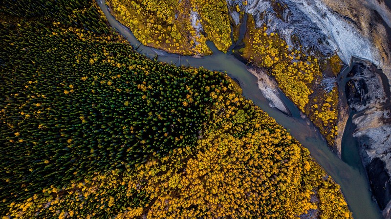 nature, forest, aerial, hd, 4k, trees, photography