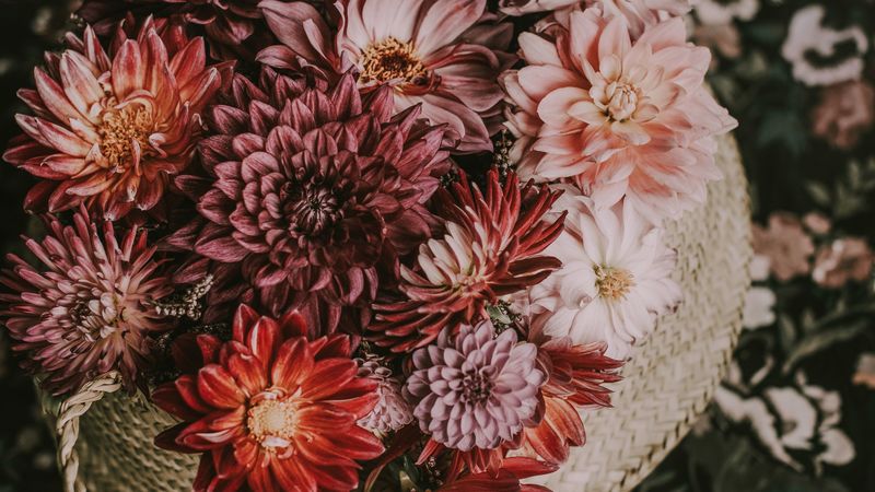 flowers, basket, bouquet, composition, autumn, 4k