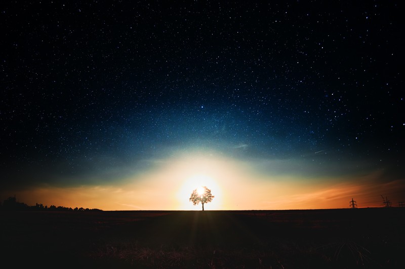 tree, landscape, nature, hd, dark, 4k, 5k, photography