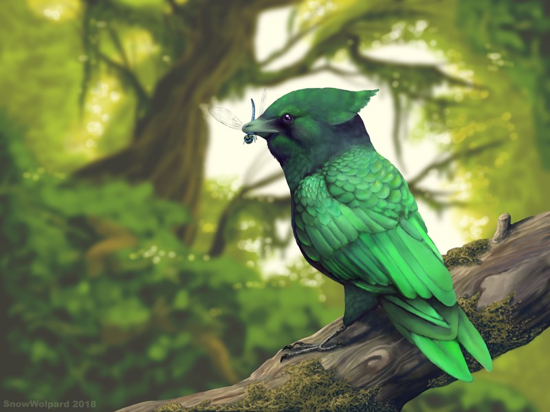 artist, artwork, hd, 4k, 5k, 8k, birds, animals