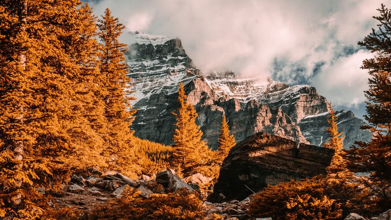 mountains, rocks, peaks, trees, landscape, 4k