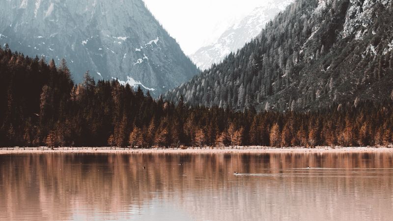 lake, mountains, forest, shore, landscape, 4k