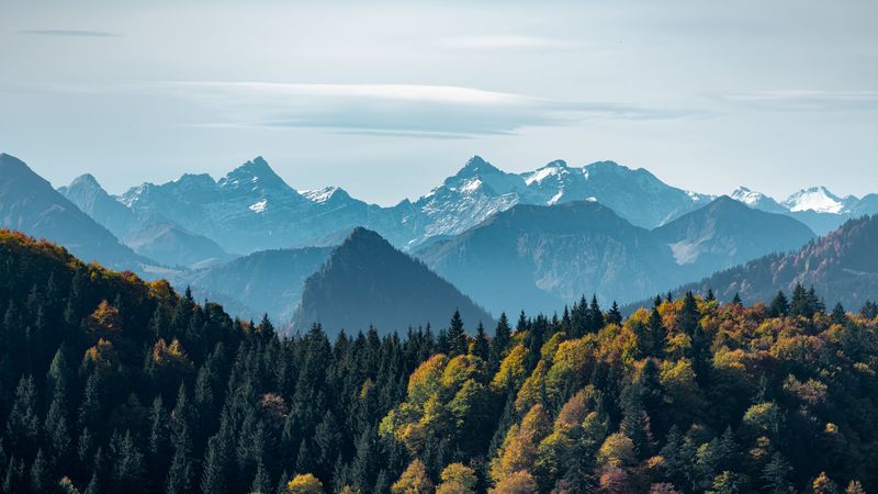 mountains, forest, peaks, fog, landscape, 4k