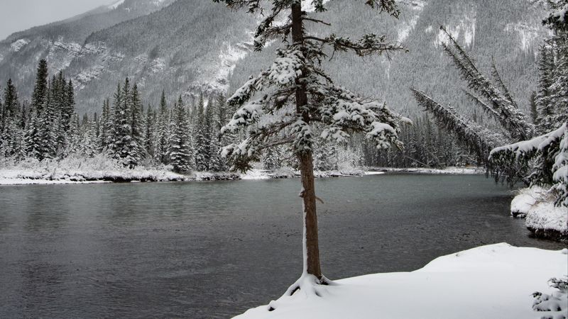 river, snow, trees, mountain, landscape, 4k