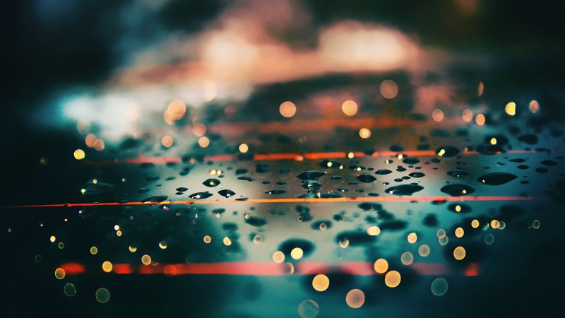 macro, water, drops, photography, hd, 4k