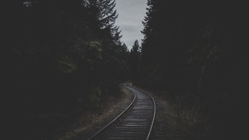 rails, railroad, dark, trees, dusk, 4k