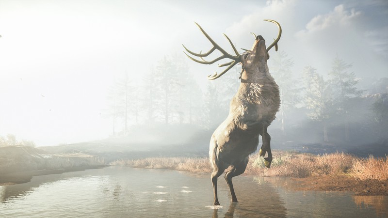 assassins creed odyssey, assassins creed, 2018 games, games, hd, 4k, reindeer
