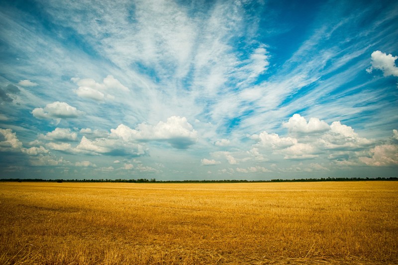 field, grass, nature, hd, 4k, farm