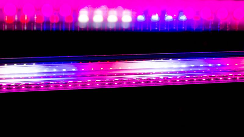 neon, backlight, blur, dark, 4k
