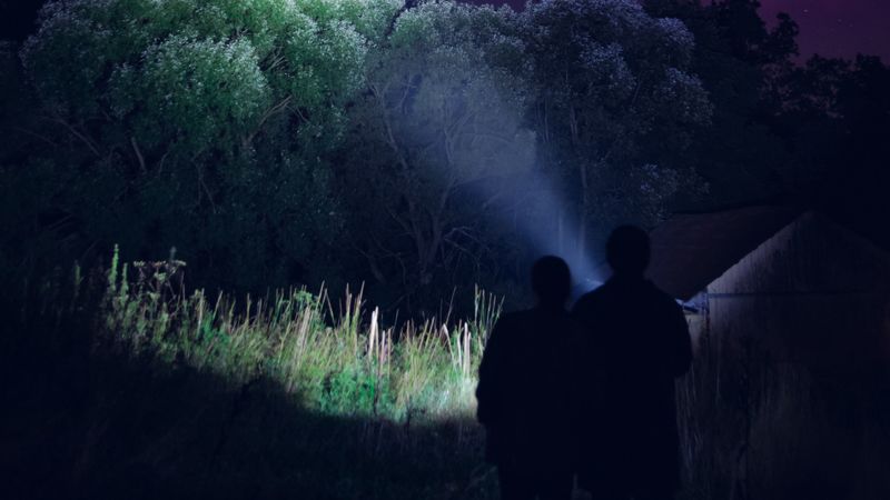 silhouettes, night, dark, flashlight, trees, light, 4k