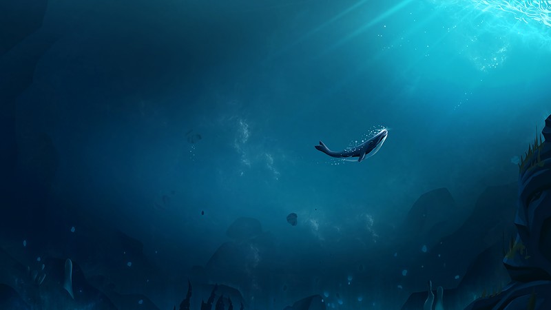 whale, artist, artwork, digital art, hd, behance, 4k, fish