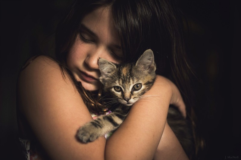 little girl, cute, kitten, cat, animals, hd