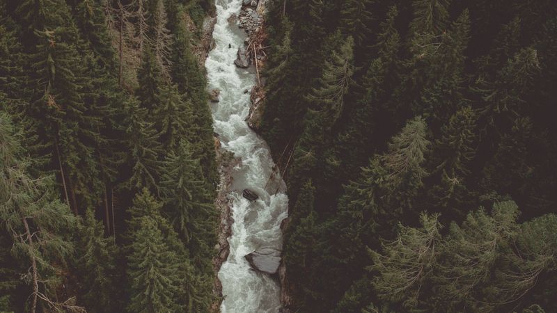 river, forest, aerial view, stream, mountain, 4k