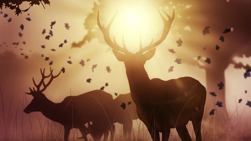 deer, artist, artwork, digital art, hd, behance, 4k