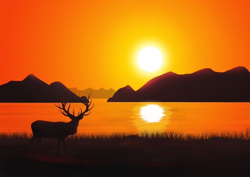 reindeer, deer, scenery, landscape, artist, artwork, digital art, hd, behance, 4k