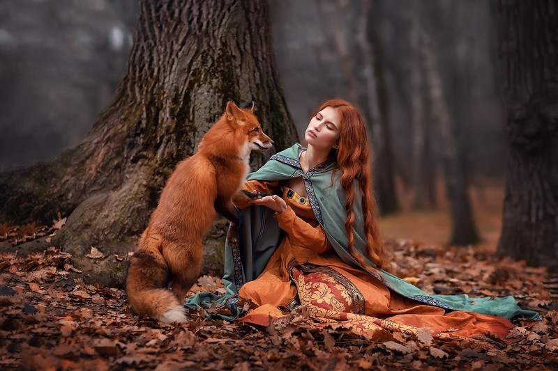 girls, fox, hd