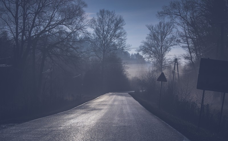 road, tree, mist, nature, hd, 4k, 5k