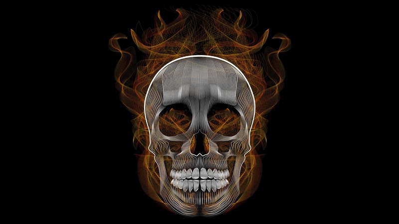 skull, hd, 4k, artwork, digital art, behance, illustration