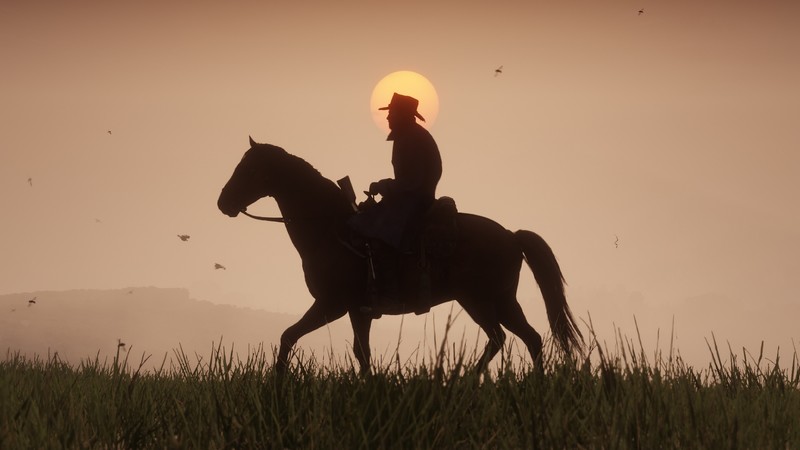 red dead redemption 2, 4k, 2018 games, games, hd, ps games, horse