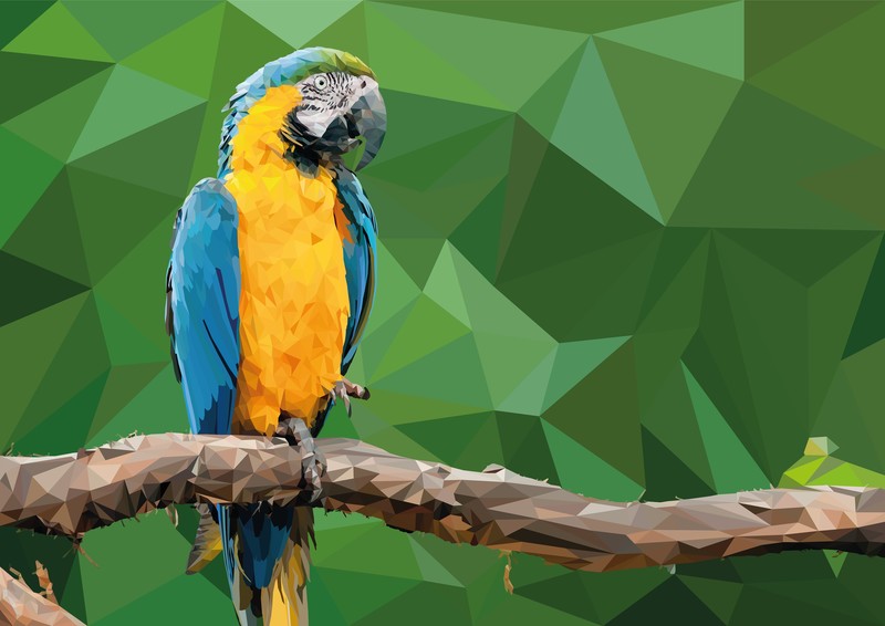 parrot, macaw, birds, artist, artwork, digital art, hd, 4k, behance