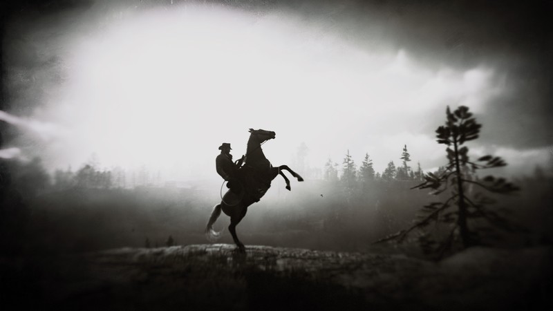 red dead redemption 2, 4k, 2018 games, games, hd, ps games, horse