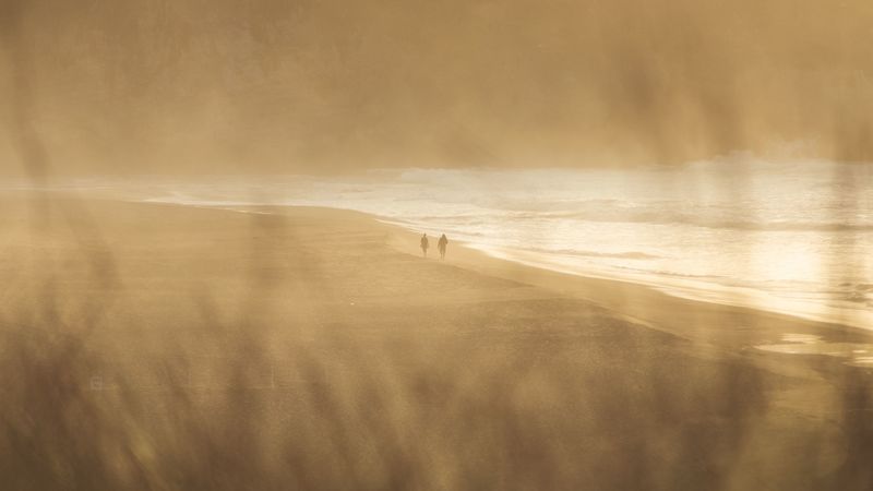 sea, beach, silhouettes, blur, coast, 4k