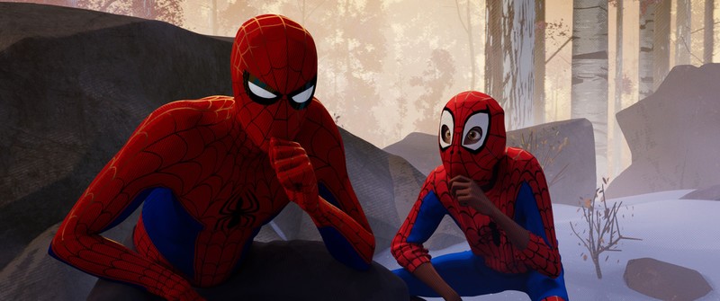 spiderman into the spider verse, 2018 movies, movies, spiderman, animated movies, hd, 4k