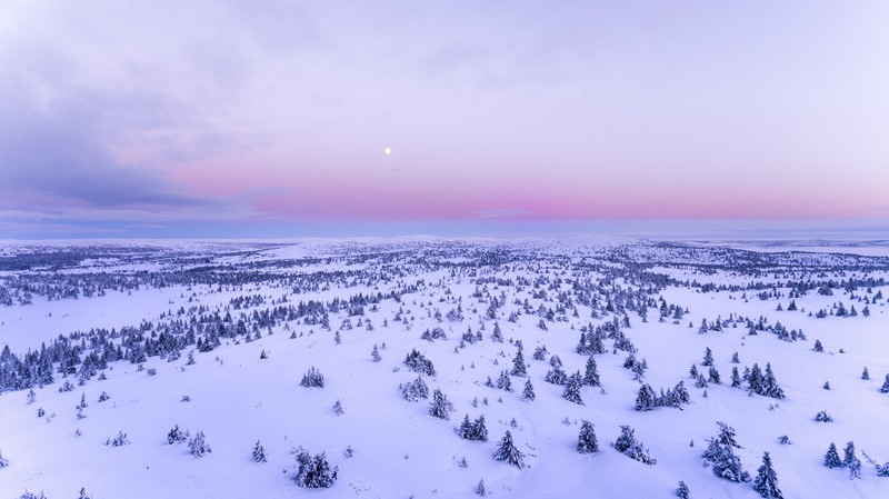 snow, field, nature, hd, 4k, aerial