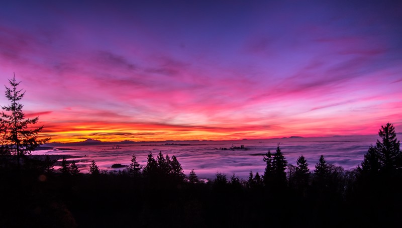 landscape, sunset, hd, 4k, 5k, nature, pink