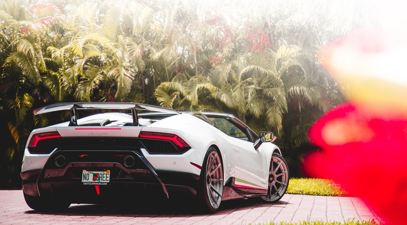 lamborghini huracan performante, 5k, lamborghini huracan, lamborghini, 2018 cars, cars, 4k, hd