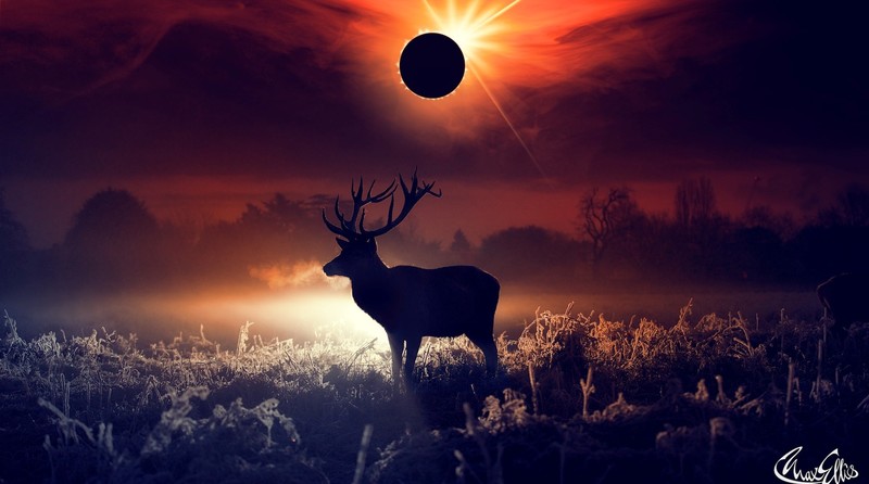 deer, artist, artwork, digital art, hd, animals