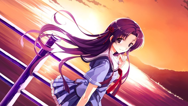 deep blue sky and pure white wings, anime girl, anime, hd