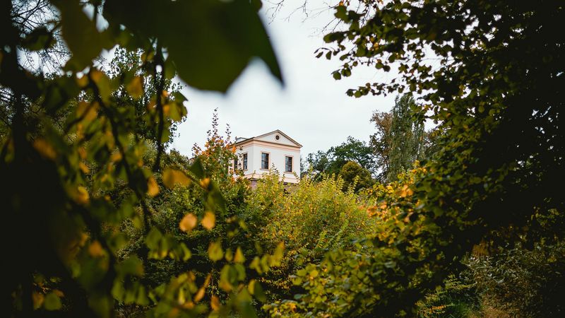 house, building, bushes, trees, nature, 4k
