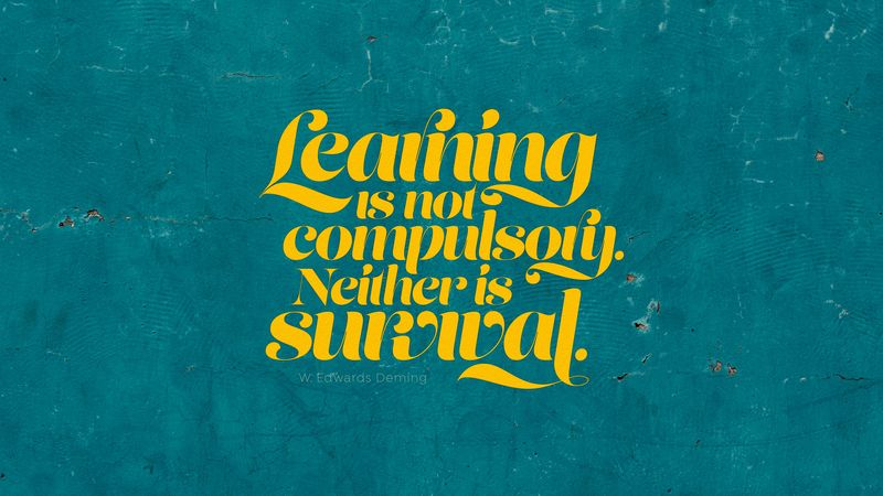 quote, learning, saying, opinion, phrase, 4k