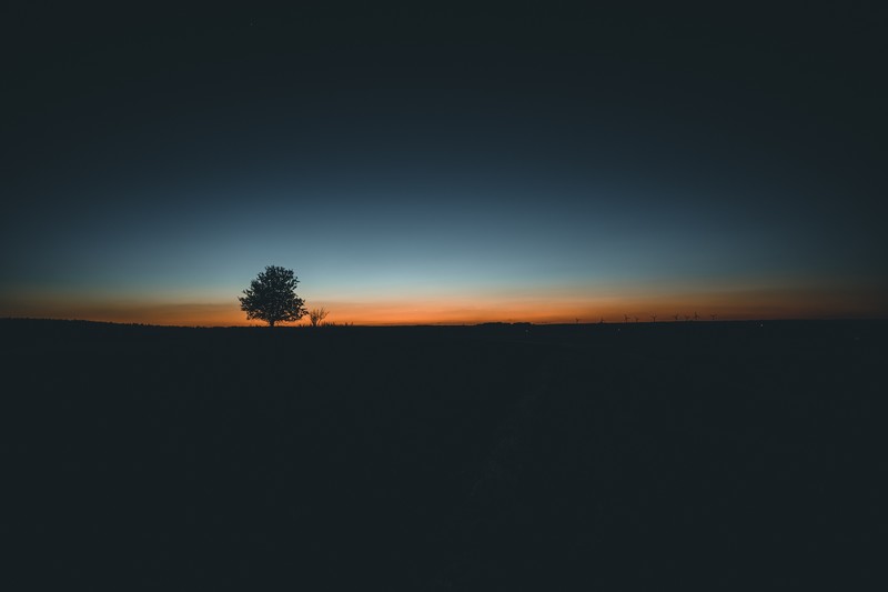 landscape, tree, nature, hd, 4k, 5k