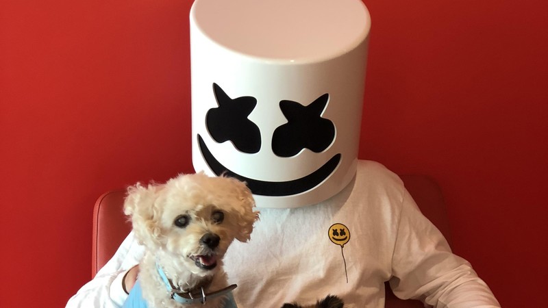 marshmello, dog, music, hd