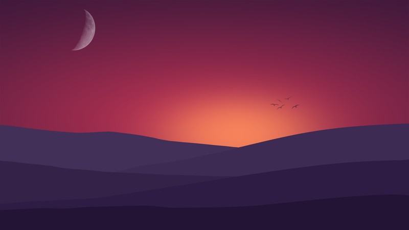 minimalism, minimalist, landscape, hd, 4k, birds, sunset, artist, artwork, digital art