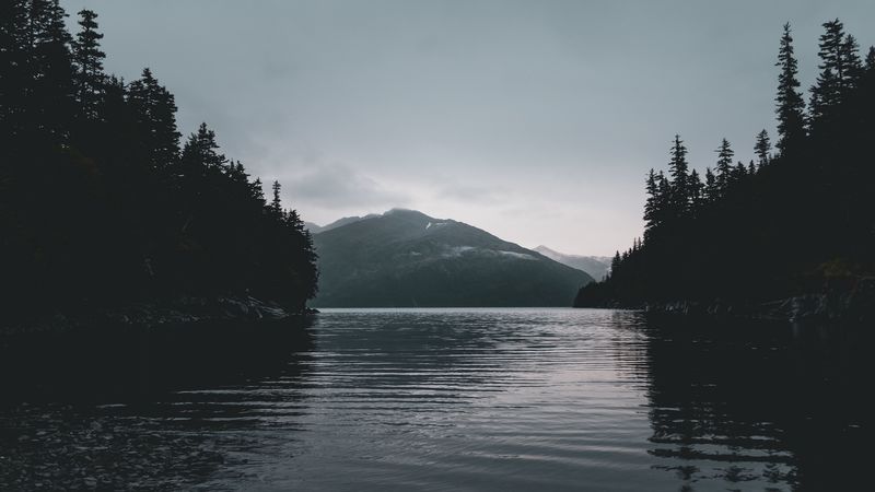river, mountains, trees, shore, dark, 4k