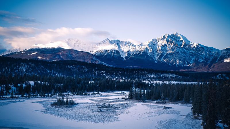 mountains, forest, trees, snow, snowy, 4k