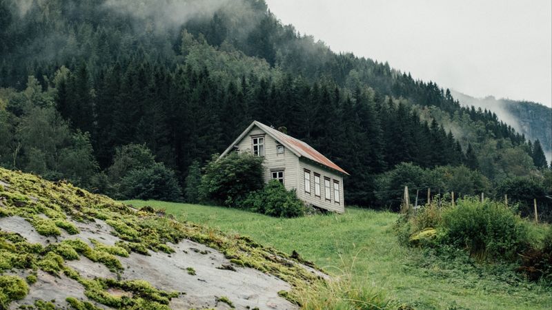 house, forest, nature, trees, greenery, 4k